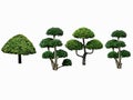 Collection ofÃ¢â¬â¹ GreenÃ¢â¬â¹ trees isolated on white background Royalty Free Stock Photo